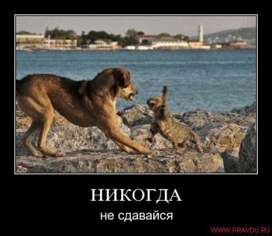 Andrey Martinov | Тула