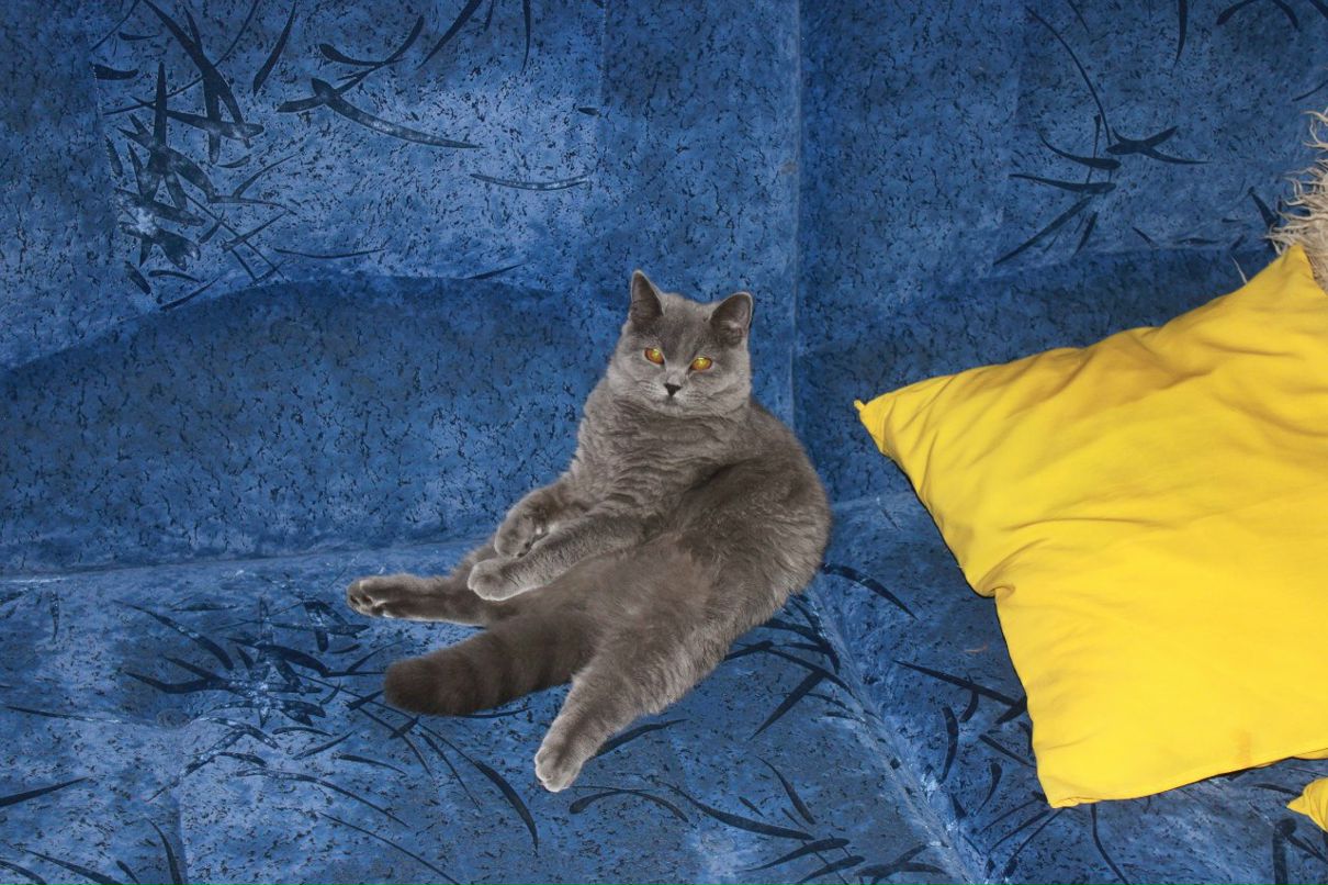 Елена Наумова | Орёл