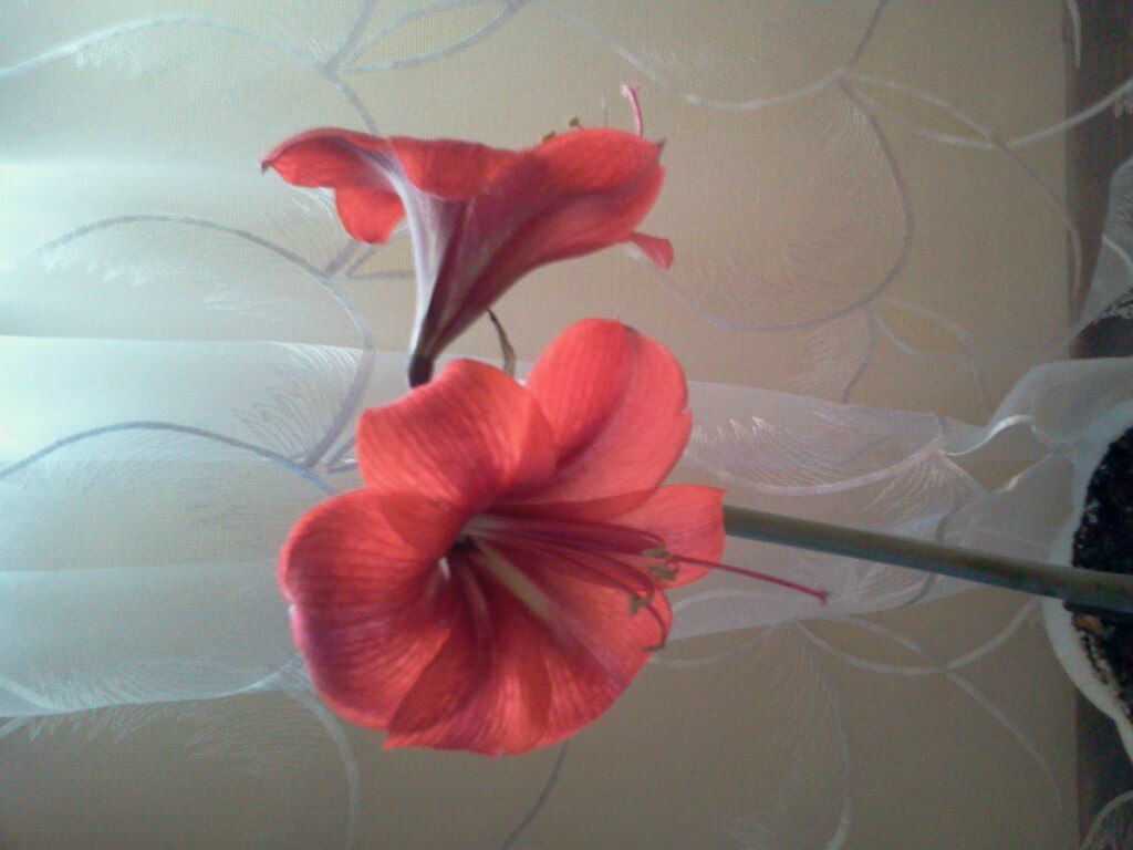 Марина Кириченко | Городище