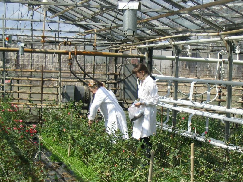 Татьяна Гордеевапетрова | Санкт-Петербург