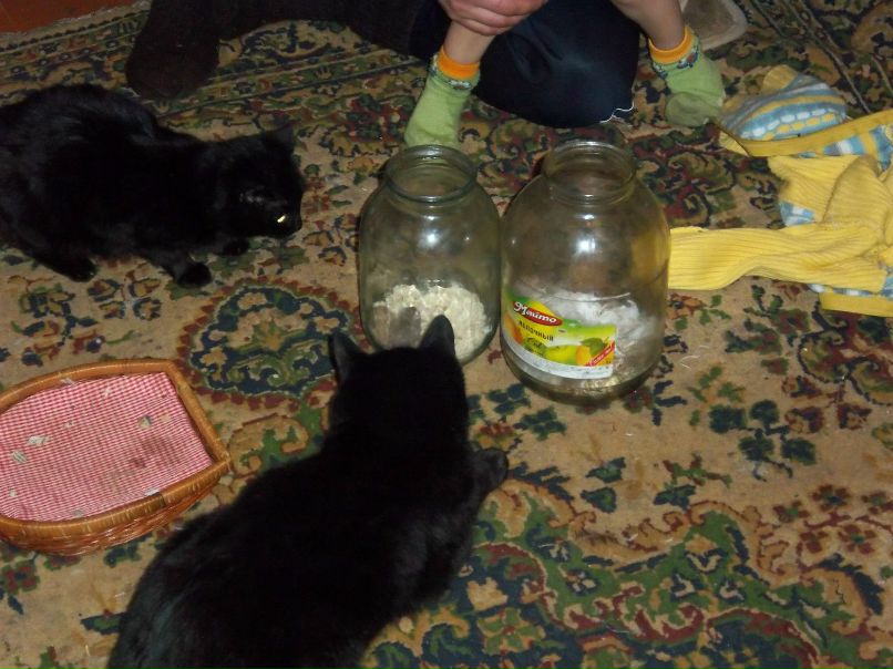 Надежда Сукачёва | Пестравка