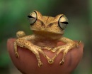 Фотография Зиновьева Сергея