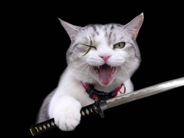 Роман Штых black master | Харьков