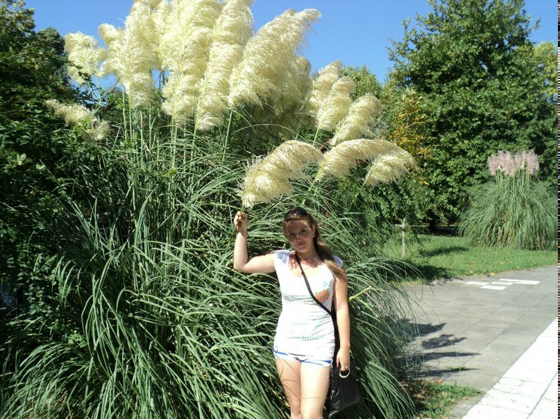 Ирина Семёнова | Тольятти