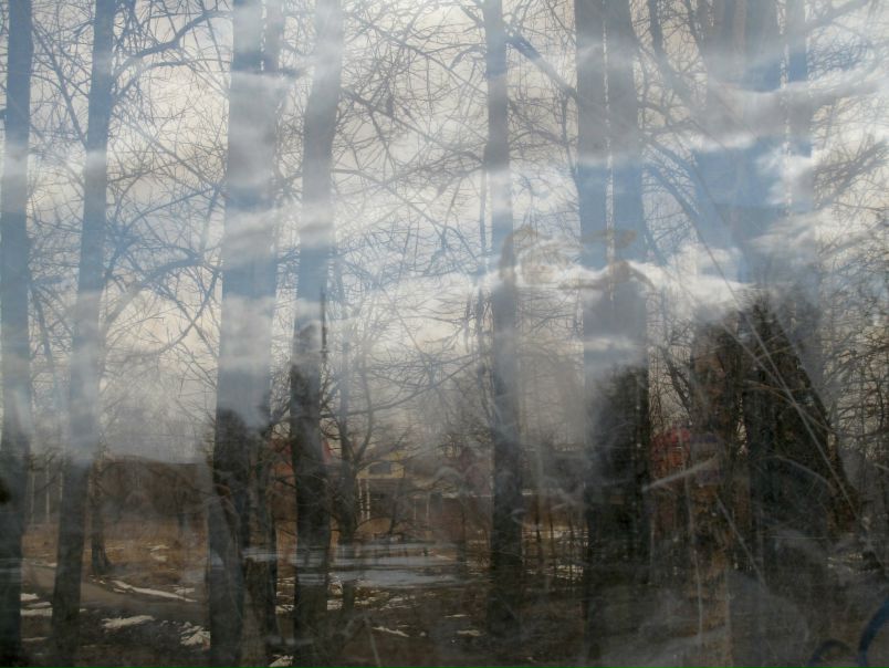 №80, Елена Гонтаренко, Санкт-Петербург №80, Елена Гонтаренко, Санкт-Петербург