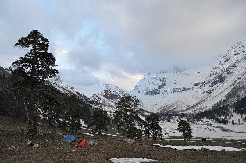 Светлана Чеснакова | Саратов