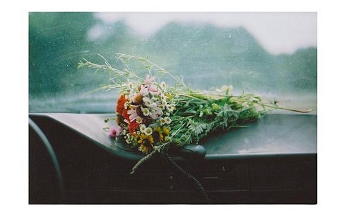 Анна Грибоедова | Санкт-Петербург