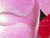 Елена Ворсонофьева | Минеральные Воды