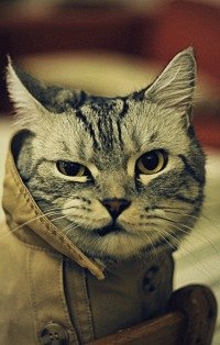 Игорь Сашин Mickey | Москва