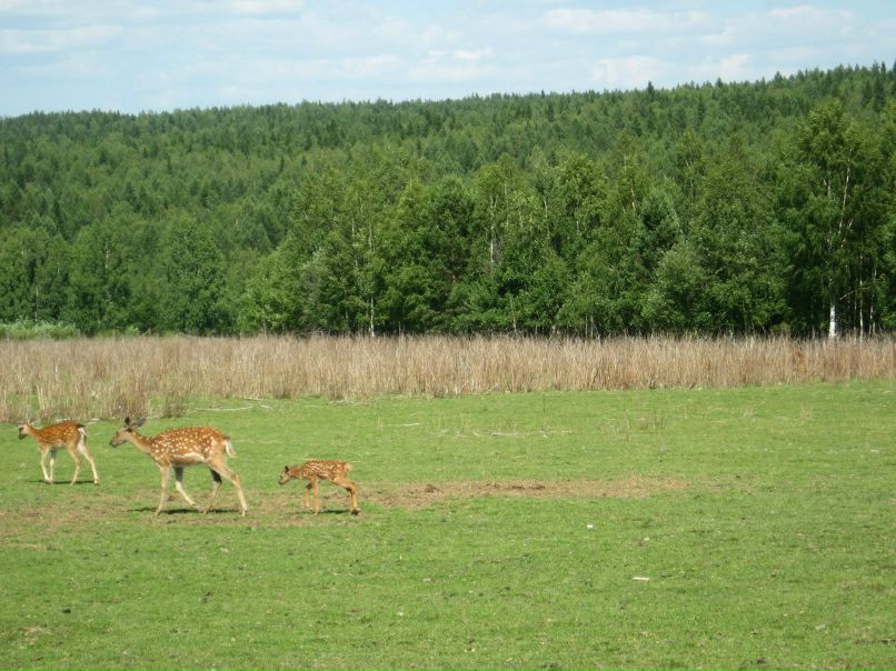 Владимир Чумаков | Екатеринбург