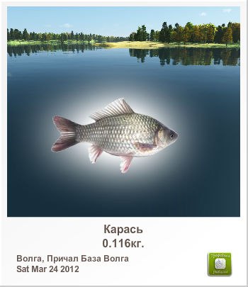 Сергей Горобец kamchadalchik | Петропавловск-Камчатский