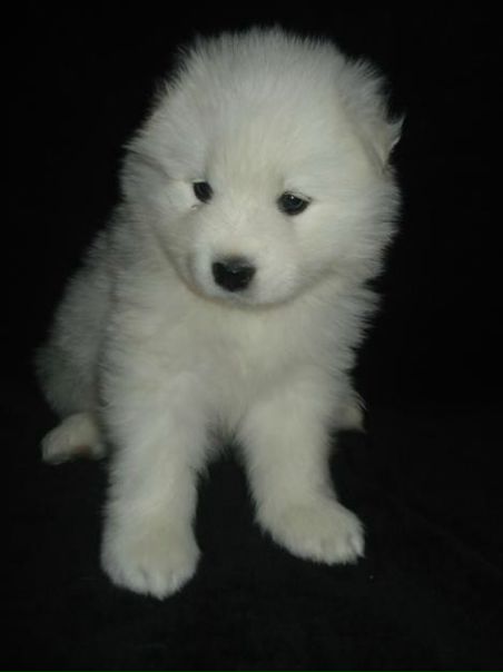 №87, Юлія Кавеліна, Днепр (Днепропетровск) №87, Юлія Кавеліна, Днепр (Днепропетровск)