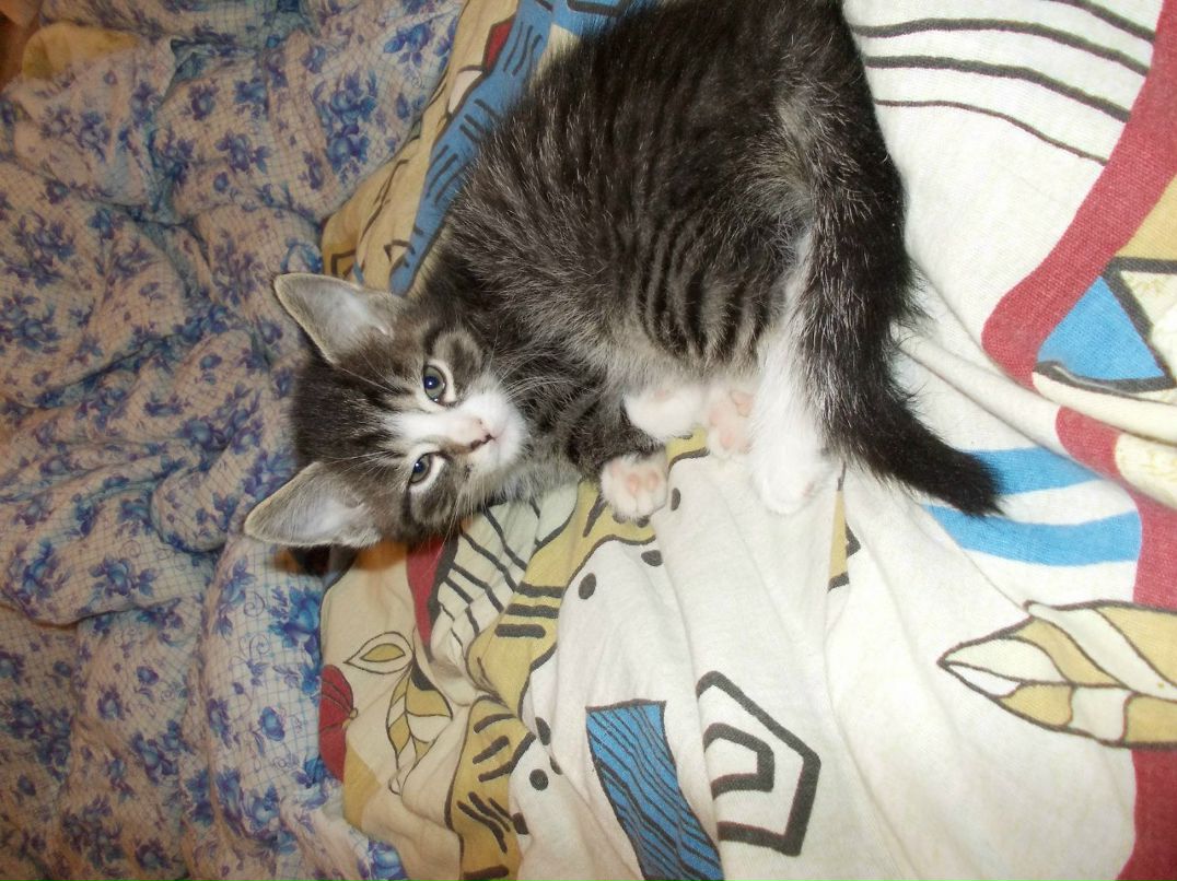 Галина Громова-Быстрова | Санкт-Петербург