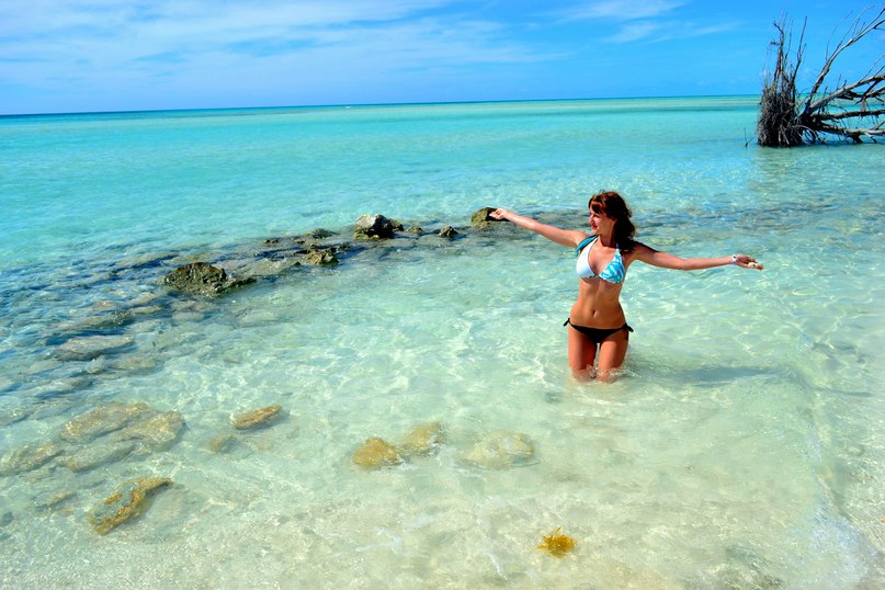 Динуля Термер | Новосибирск