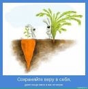 №23 Aiesec Nizhny-Novgorod 15.10: профиль, фото, статус - ВКонтакте