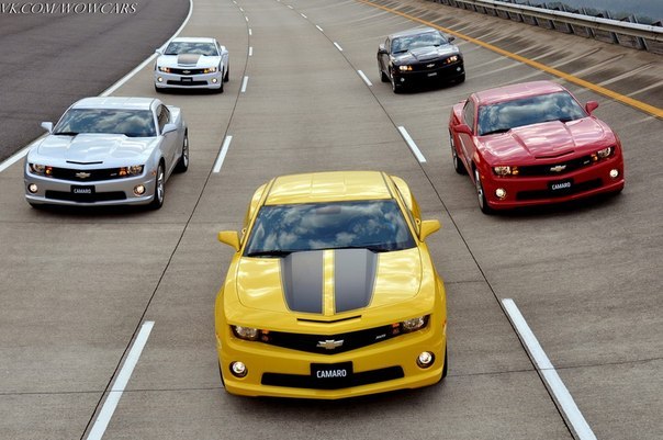 Руслан Закиров | Los Angeles