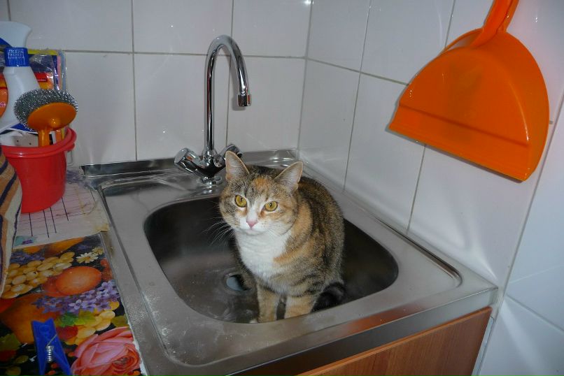 Людмила Брагина | Санкт-Петербург