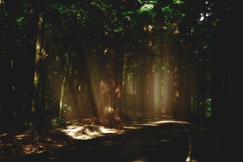 Альфина Мусина | Москва