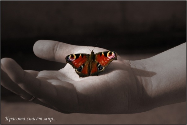 №30, Инна Орсич, 39 лет, Москва №30, Инна Орсич, 39 лет, Москва