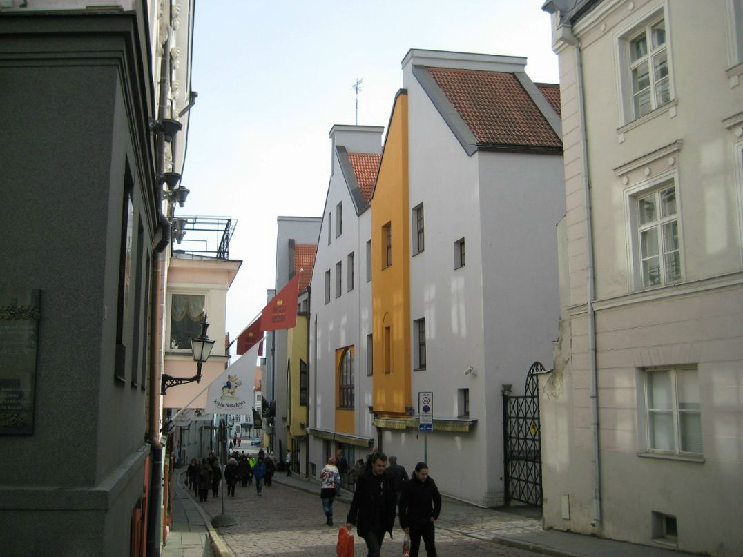 Александр Шлюев | Санкт-Петербург