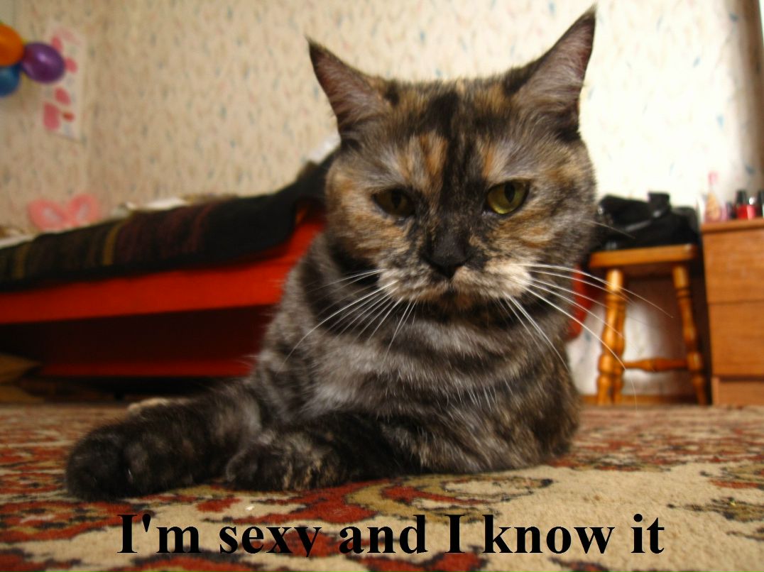 Татьяна Пятнышкова | Москва