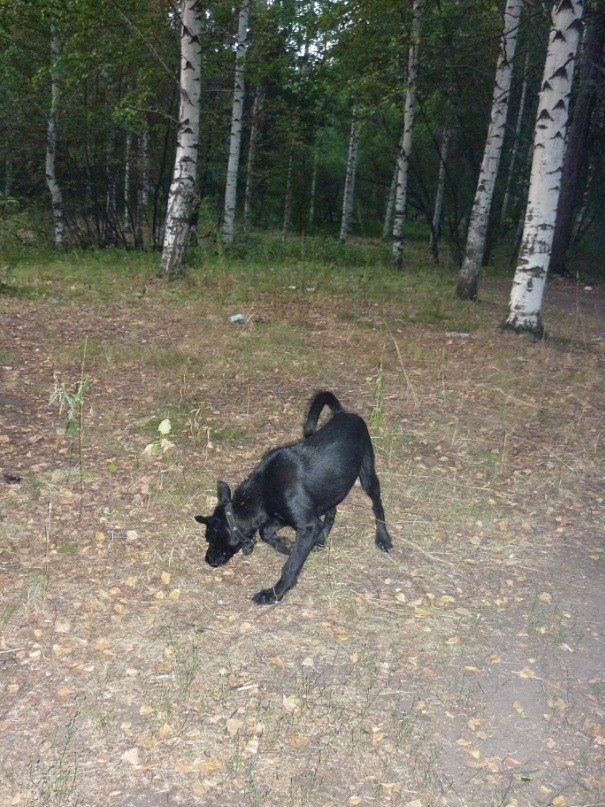 Ирина Калинина Ивановна | Ижевск