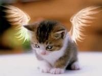 Юра Кармазин | Полтава