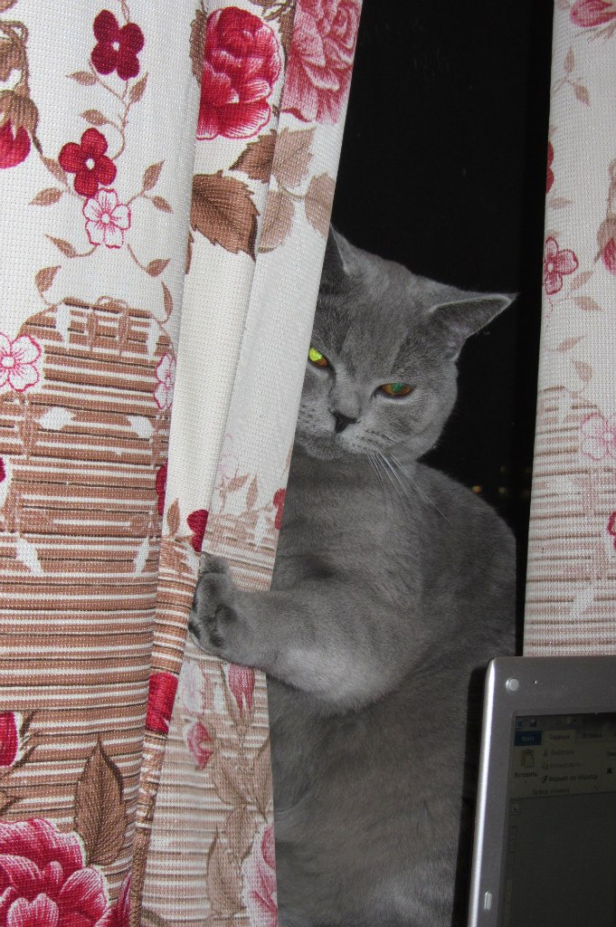 Татьяна Авдеева | Москва