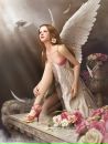 №40 Елена Никитина 24.03: профиль, фото, статус - ВКонтакте №40 Елена Никитина 24.03: профиль, фото, статус - ВКонтакте