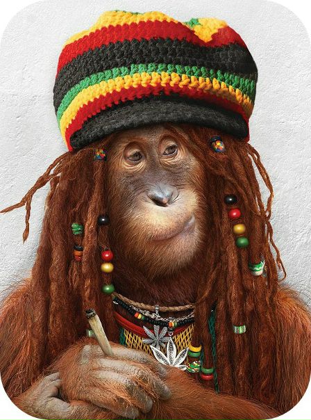 №42, Андрюха Волощенко №42, Андрюха Волощенко