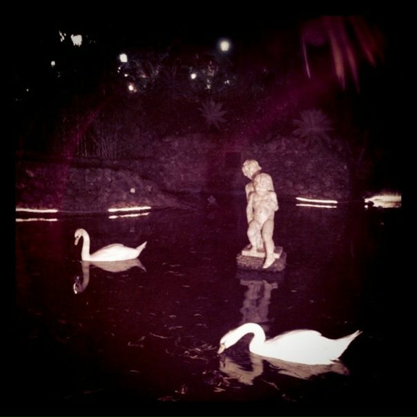 №125, Ксения Но №125, Ксения Но