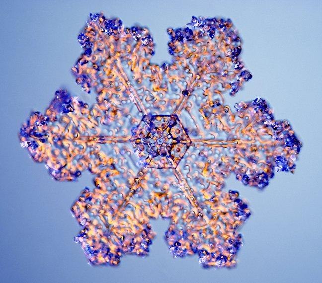 Яна Гусева | Санкт-Петербург