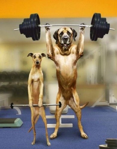 Татьяна Скворцова | Минск