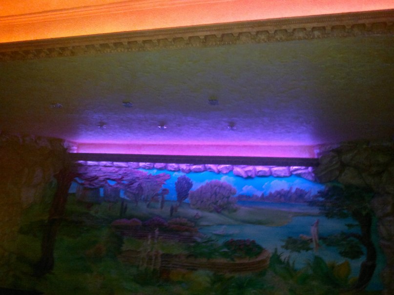 Алексей Баранов | Санкт-Петербург