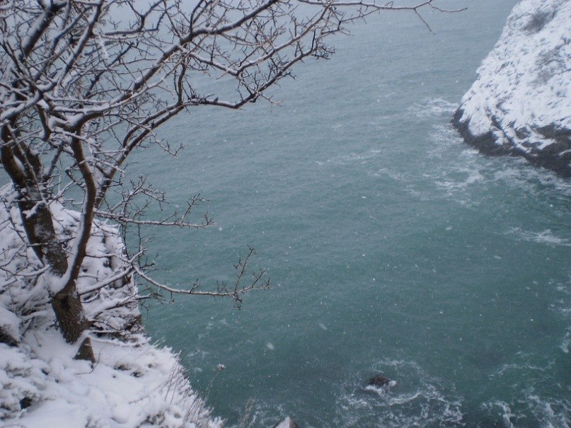 Татьяна Лыткина Викторовна | Йошкар-Ола