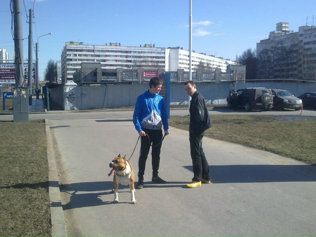 Багдан Кожуров | Санкт-Петербург