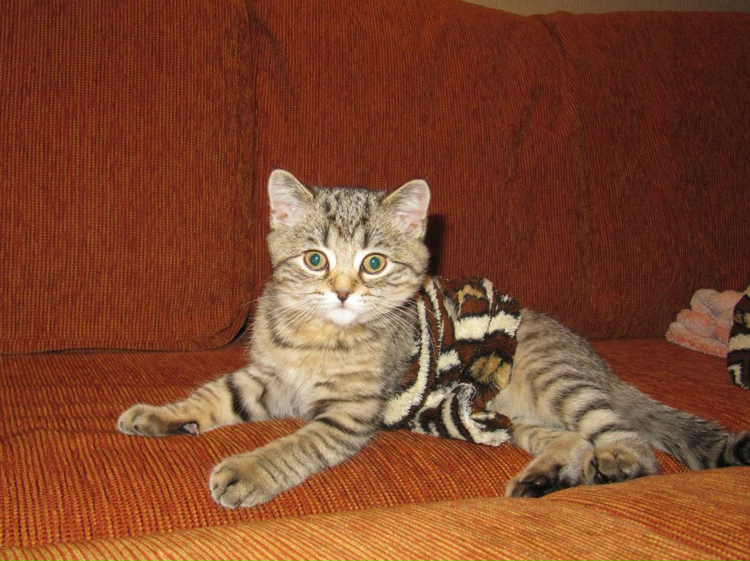 Вероника Губанова | Новокузнецк