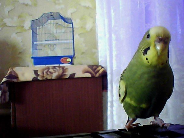 №17, Стас Лебедев, 124 года, Луганск №17, Стас Лебедев, 124 года, Луганск