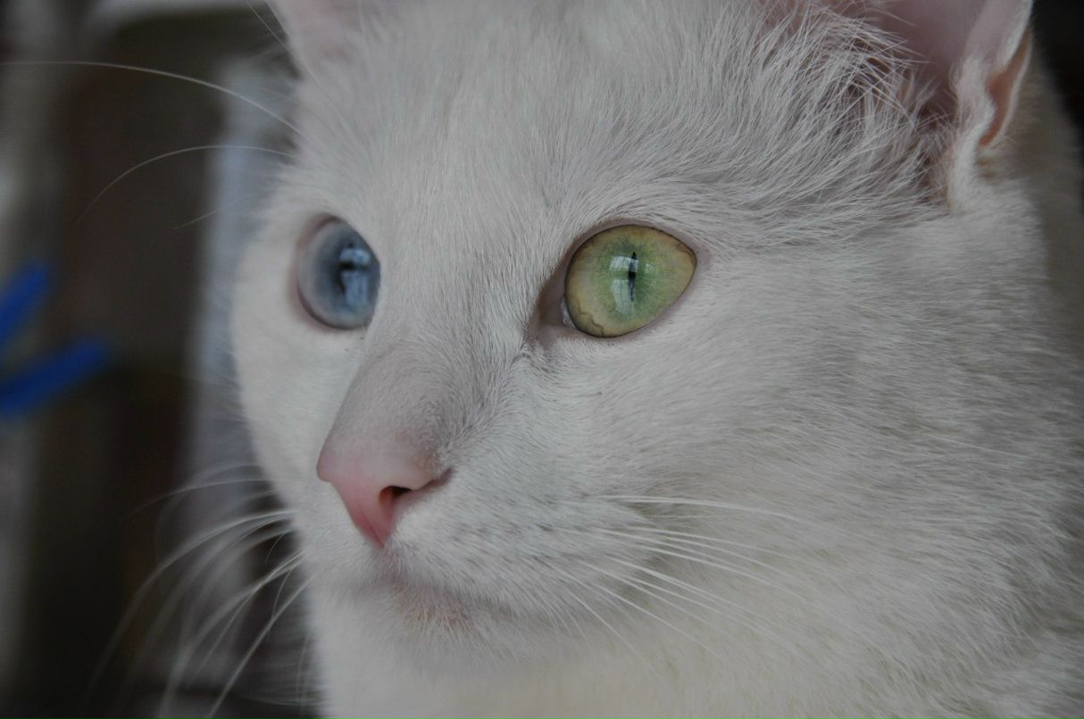 Андрей Исаков 42nA | Москва