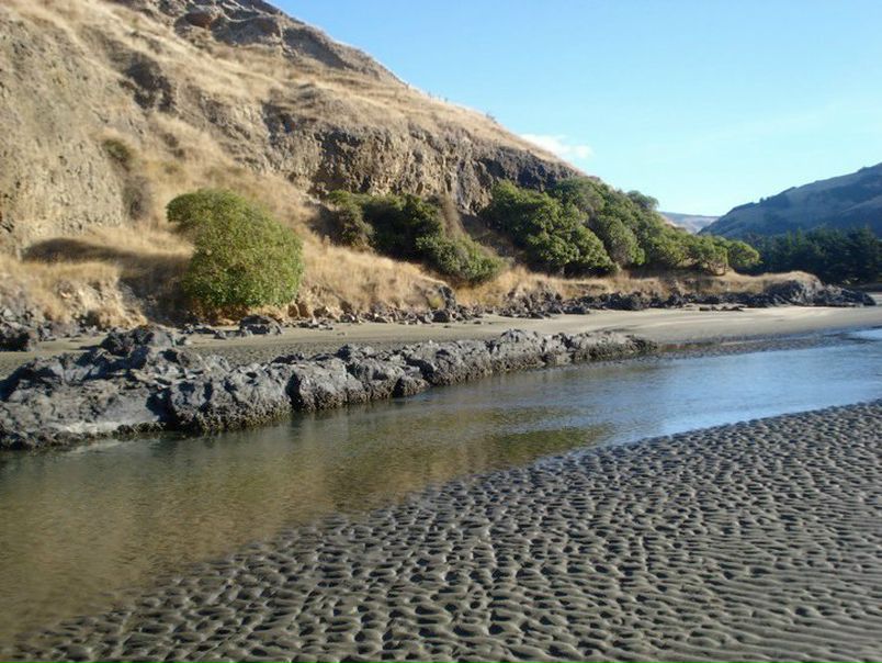 №6, Коля Колядюк, Кортелесы №6, Коля Колядюк, Кортелесы