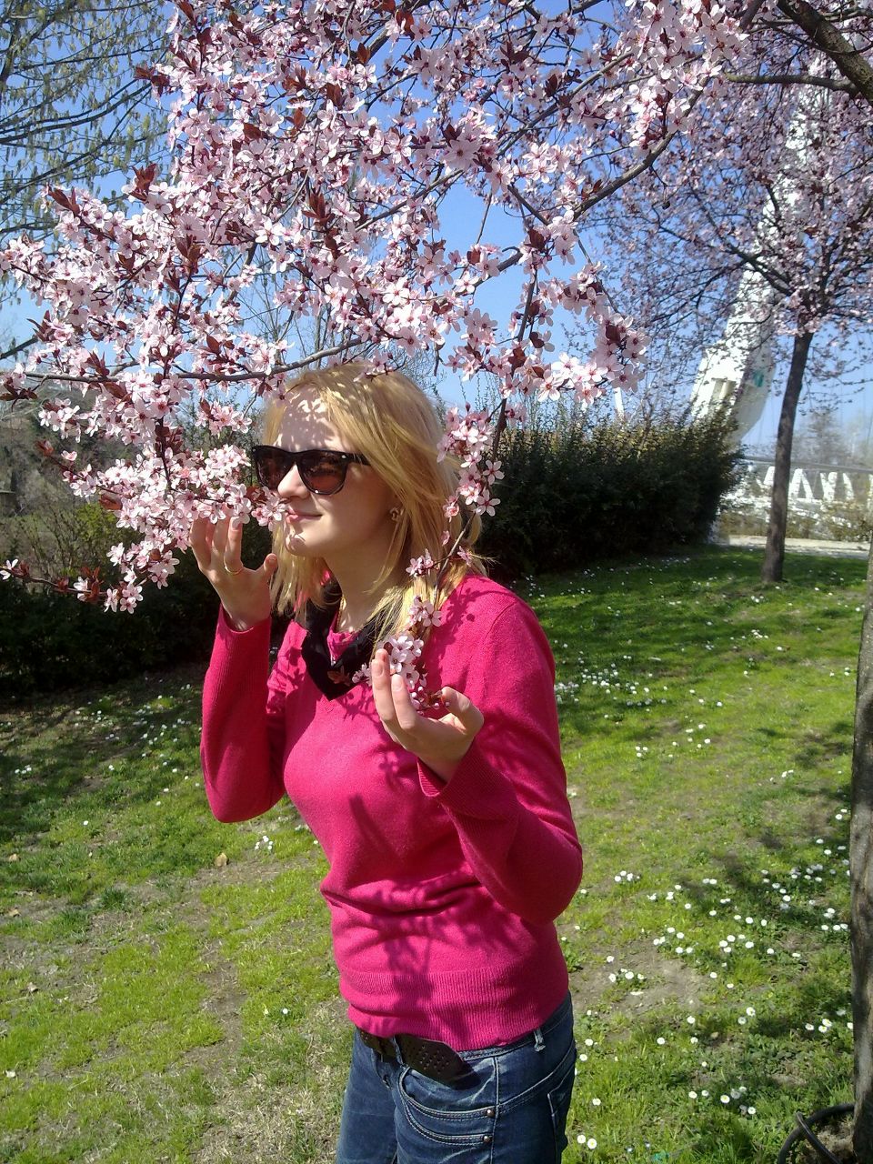 Ірка Мироняк | Bologna