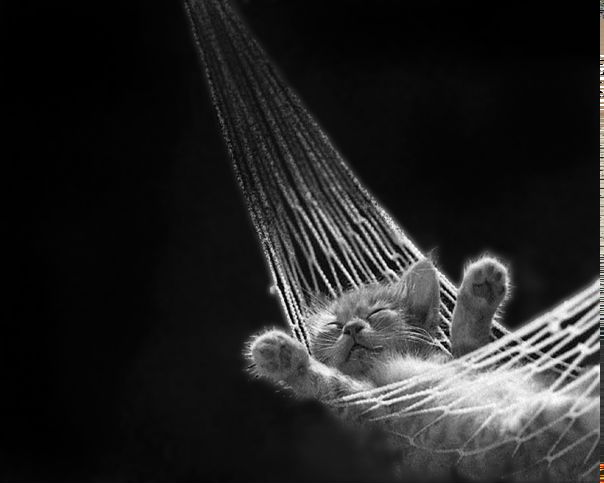 №5, Оксана Дикая(любченко), 48 лет, Чернигов №5, Оксана Дикая(любченко), 48 лет, Чернигов