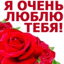 Дима Ильин | Великий Новгород