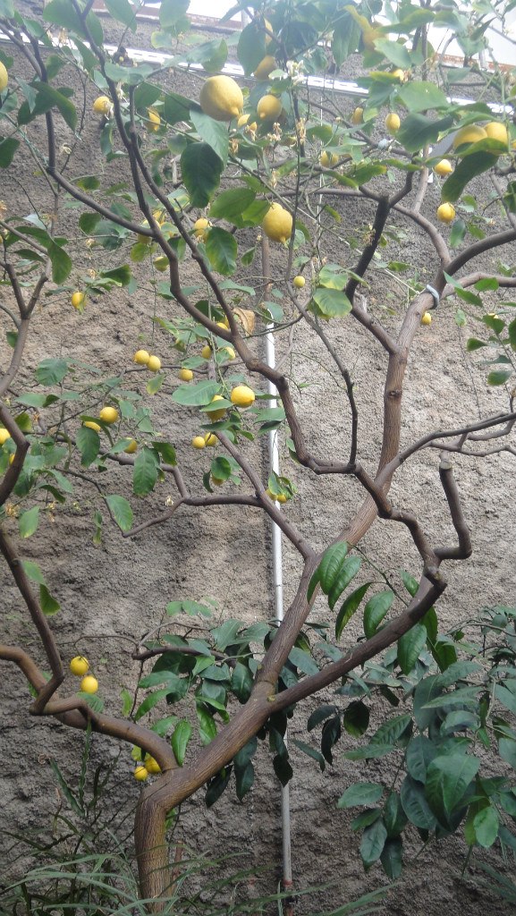 Юля Машкова | Волжский