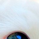 №28, Виталина Мач, Харьков №28, Виталина Мач, Харьков