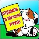 Андрей Анатольевич ~db Rulezzz~ | Великие Луки