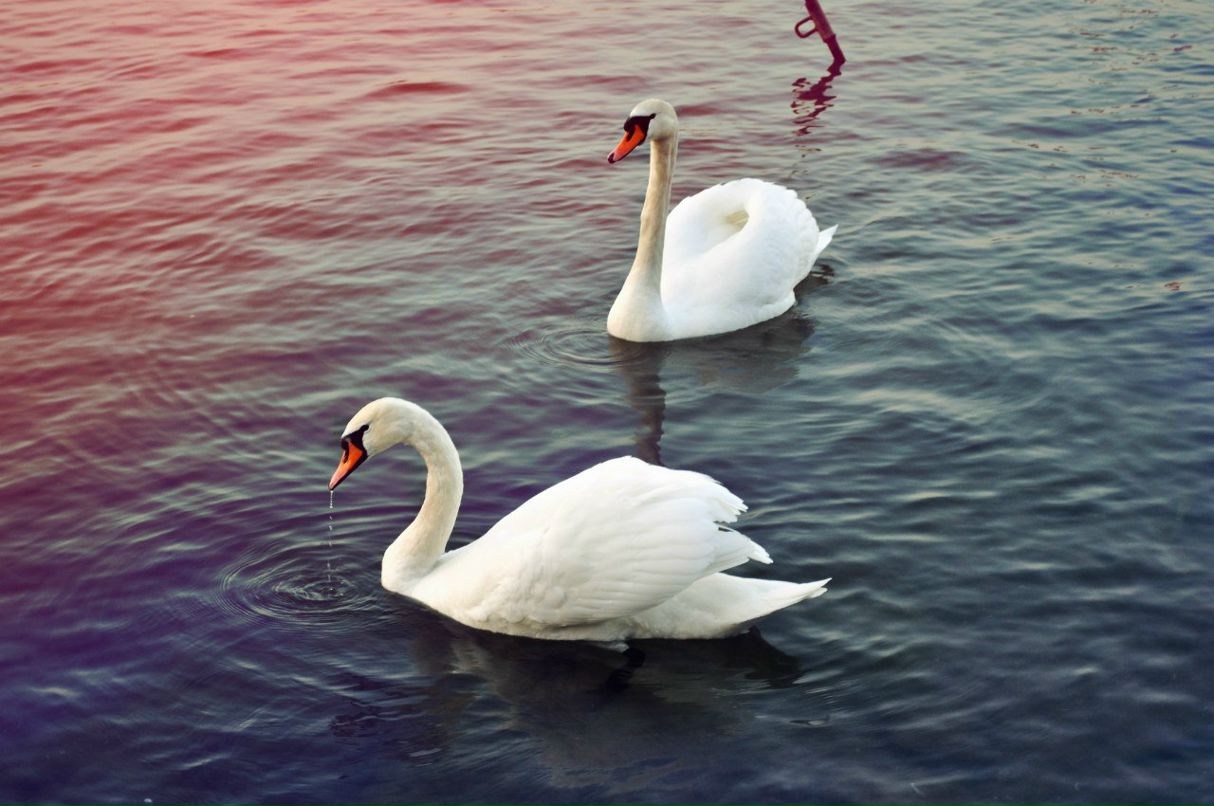 Юлия Кузнецова | Ставрополь