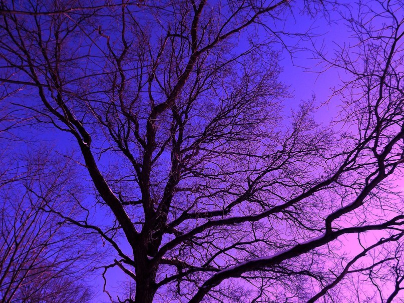 Владислав Худзик | Новосибирск