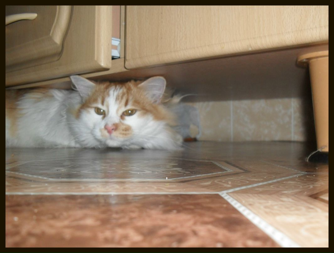 Наталья Киркина | 