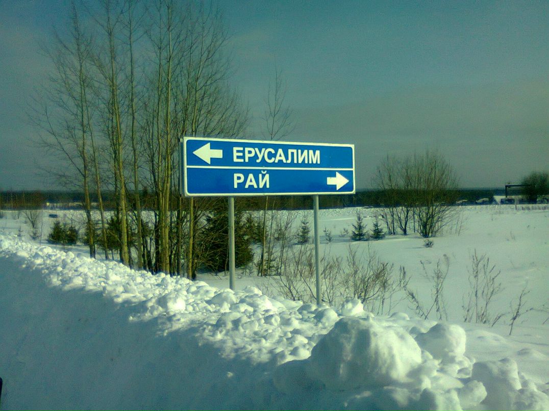 Виктор Граф | Кострома